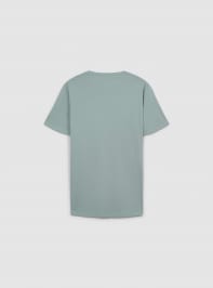 T-Shirt MC Homme Terranova