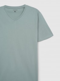 T-Shirt MC Homme Terranova