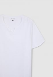 T-Shirt MC Uomo Terranova