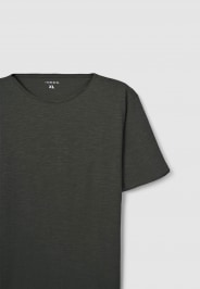 T-Shirt MC Homme Terranova