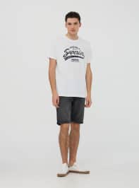 T-Shirt MC Herren Terranova