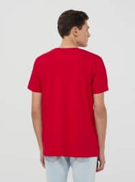 T-Shirt MC Pánské Terranova