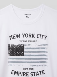 T-Shirt MC Homme Terranova