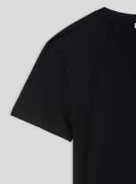 T-Shirt MC Zena Terranova