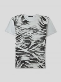 Camiseta manga corta Niño Terranova