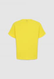 Camiseta manga corta Niño Terranova