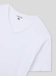 T-Shirt MC Uomo Terranova