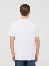 Camiseta manga corta Hombre Terranova