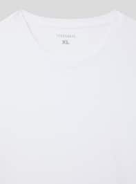 T-Shirt ML Pánské Terranova