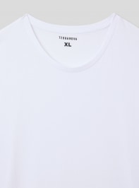 T-Shirt MC Uomo Terranova