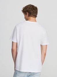 T-Shirt MC Homme Terranova