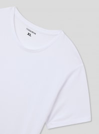 T-Shirt MC Homme Terranova