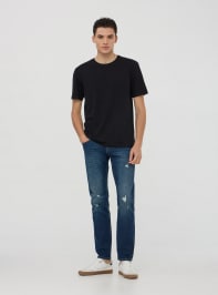 T-Shirt MC Homme Terranova