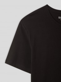 T-Shirt MC Homme Terranova