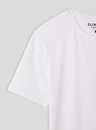 T-Shirt MC Homme Terranova