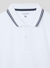 T-Shirt MC Herren Terranova