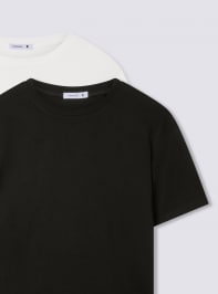 T-Shirt MC Damen Terranova