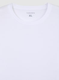 T-Shirt Homme Terranova