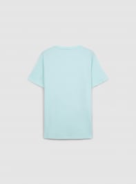 T-Shirt MC Uomo Terranova