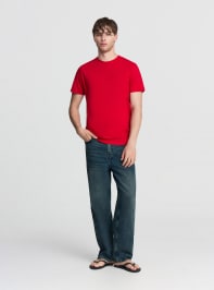 T-Shirt MC Homme Terranova
