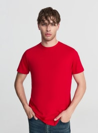 T-Shirt MC Homme Terranova
