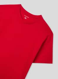 T-Shirt MC Herren Terranova