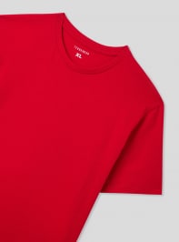 T-Shirt MC Homme Terranova