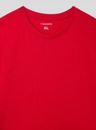 T-Shirt MC Homme Terranova