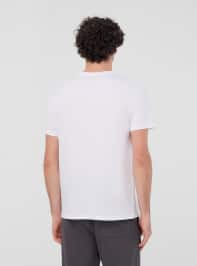 T-Shirt MC Herren Terranova
