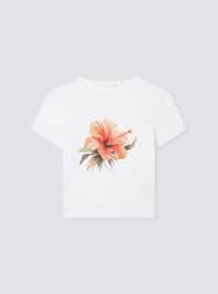 T-Shirt MC Donna Terranova