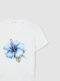 T-Shirt MC Dámské Terranova