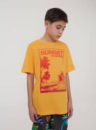 T-Shirt MC Garçon Terranova