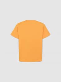 T-Shirt MC Garçon Terranova