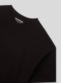 T-Shirt MC Homme Terranova
