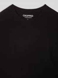 T-Shirt MC Homme Terranova