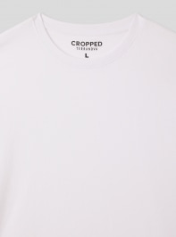 T-Shirt MC Homme Terranova