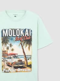 T-Shirt MC Uomo Terranova