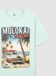 Camiseta manga corta Hombre Terranova