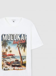 T-Shirt MC Uomo Terranova
