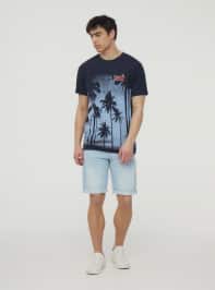 T-Shirt MC Herren Terranova
