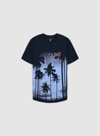 T-Shirt MC Herren Terranova