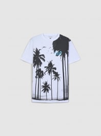 Short-sleeved T-shirt Man Terranova