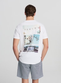 T-Shirt MC Uomo Terranova