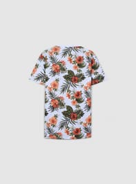 Camiseta manga corta Hombre Terranova