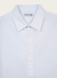 Camicia ML Uomo Terranova