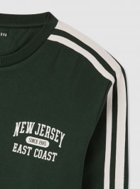 Sweat shirt Homme Terranova