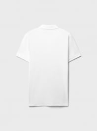T-Shirt MC Uomo Terranova
