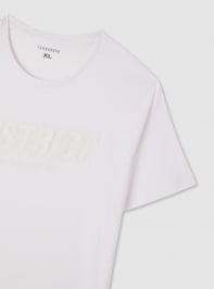 T-Shirt MC Homme Terranova