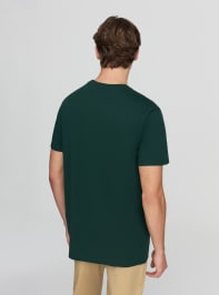 T-Shirt MC Homme Terranova