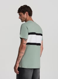 Short-sleeved T-shirt Man Terranova